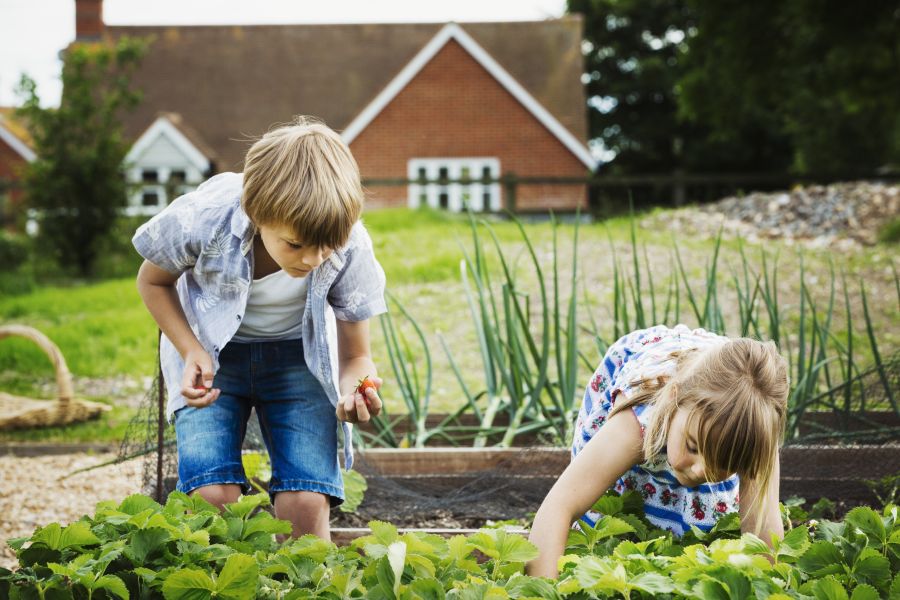 Mädchen und Junge in einem Garten vor einem Gemüsebeet
